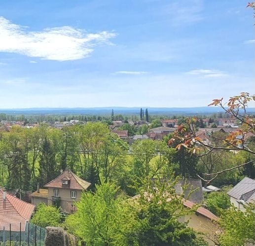 Terrains dans le Haut-Rhin - 4